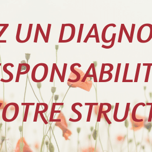 diagnostic rapide de la responsabilité sociétale de votre structure