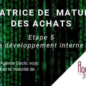 Matrice maturité - développement interne