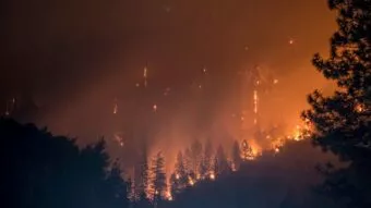 Réchauffement climatique