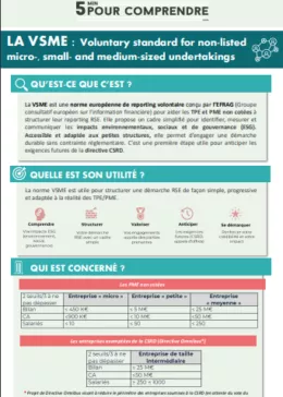 Fiche synthèse VSME