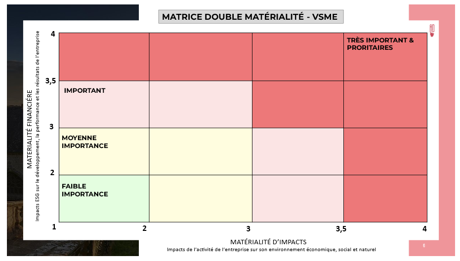 matrice de double matérialité