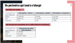 Périmètre de la VSME