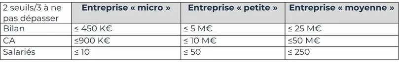 Seuils VSME entreprises en Chiffre d'affaires