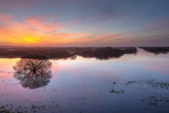 Lac Grand-Lieu