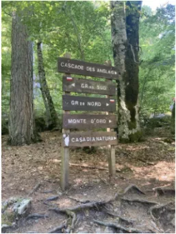 Paysage Manon Dufour