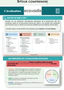 Comprendre EcoVadis