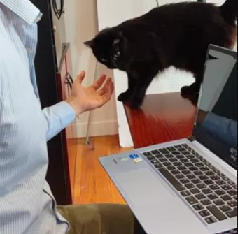 Mathurin Guisnel - Chat