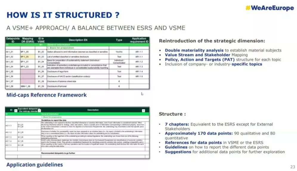WeAreEurope VSME & ESRS